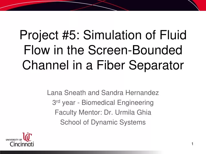 project 5 simulation of fluid flow in the screen bounded channel in a fiber separator