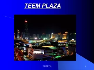 TEEM PLAZA