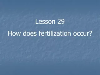 Lesson 29 How does fertilization occur?