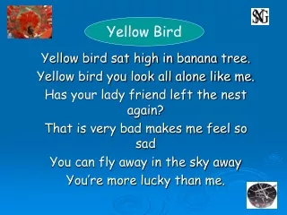Yellow bird sat high in banana tree. Yellow bird you look all alone like me.