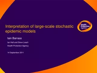 Interpretation of large-scale stochastic epidemic models