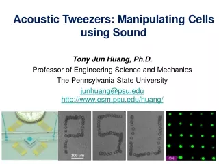 Tony Jun Huang, Ph.D. Professor of Engineering Science and Mechanics