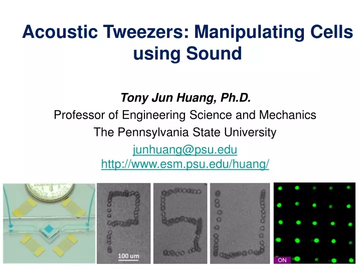 acoustic tweezers manipulating cells using sound