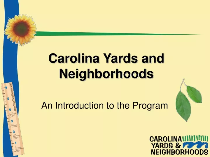 carolina yards and neighborhoods