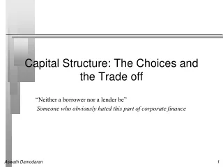 Capital Structure: The Choices and the Trade off