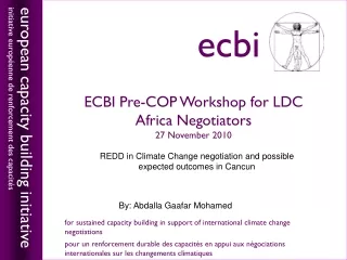 ECBI Pre-COP Workshop for LDC Africa Negotiators  27 November 2010