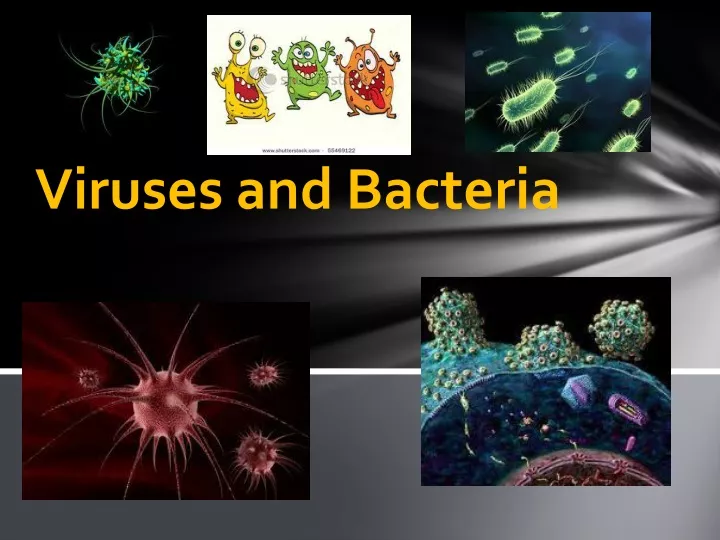 viruses and bacteria