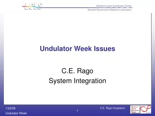Undulator Week Issues
