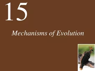 Mechanisms of Evolution