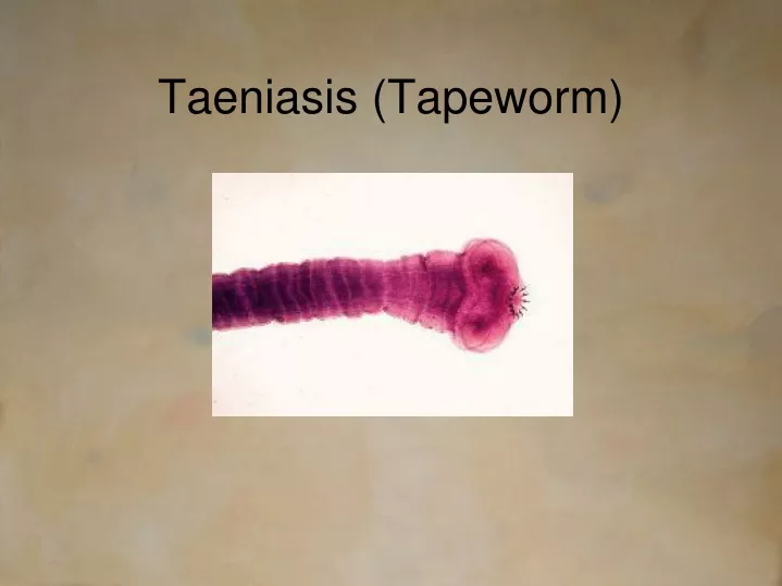 taeniasis tapeworm