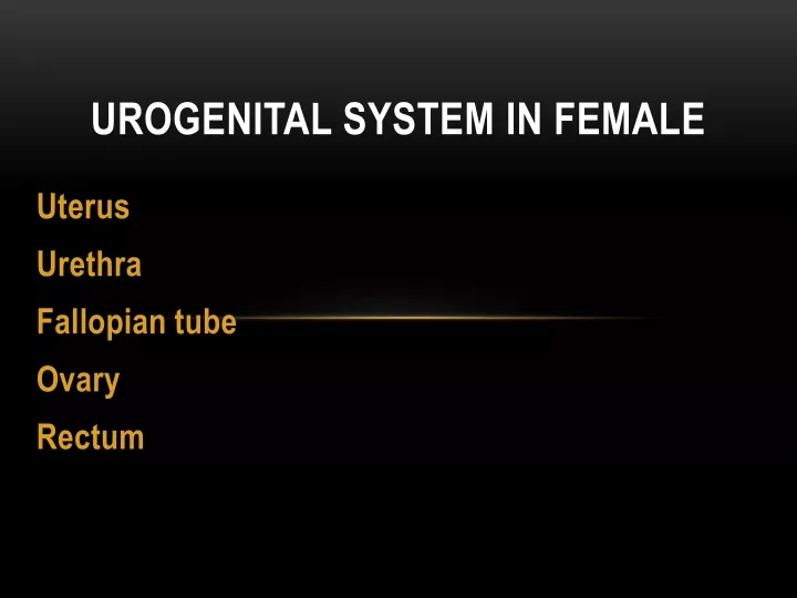urogenital system in female