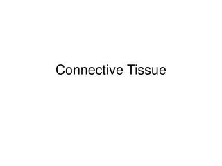 Connective Tissue