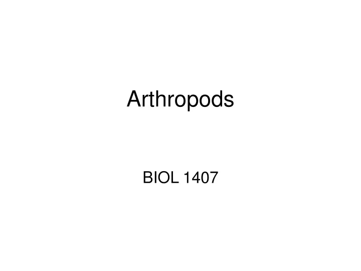 arthropods