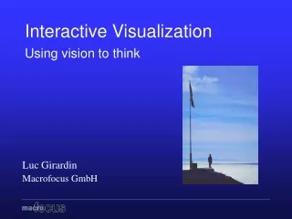 Interactive Visualization Using vision to think