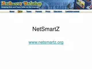 NetSmartZ
