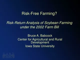 Risk-Free Farming? Risk-Return Analysis of Soybean Farming under the 2002 Farm Bill