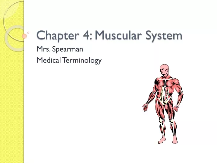 chapter 4 muscular system