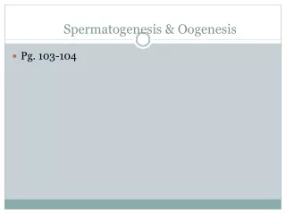 Spermatogenesis &amp; Oogenesis