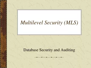 Multilevel Security (MLS)