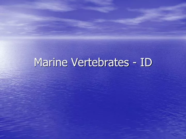 marine vertebrates id