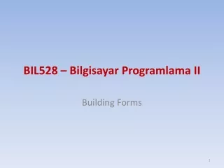 BI L528  –  Bilgisayar Programlama II