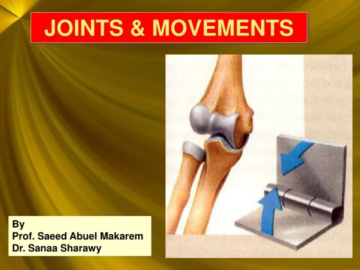 joints movements
