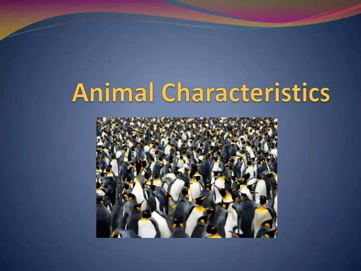 animal characteristics