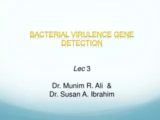Bacterial virulence gene detection Lec 3 Dr. Munim  R. Ali  &amp; Dr.  Susan A. Ibrahim