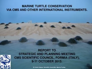 MARINE TURTLE CONSERVATION  VIA CMS AND OTHER INTERNATIONAL INSTRUMENTS. REPORT TO