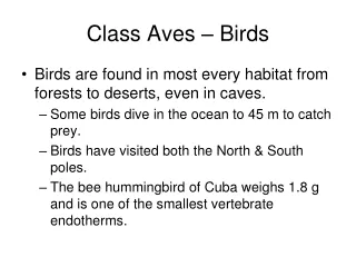 Class Aves – Birds
