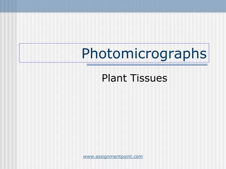 photomicrographs