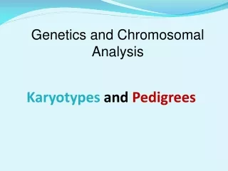 Karyotypes  and  Pedigrees