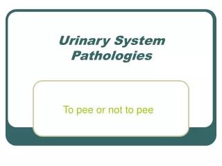 Urinary System Pathologies
