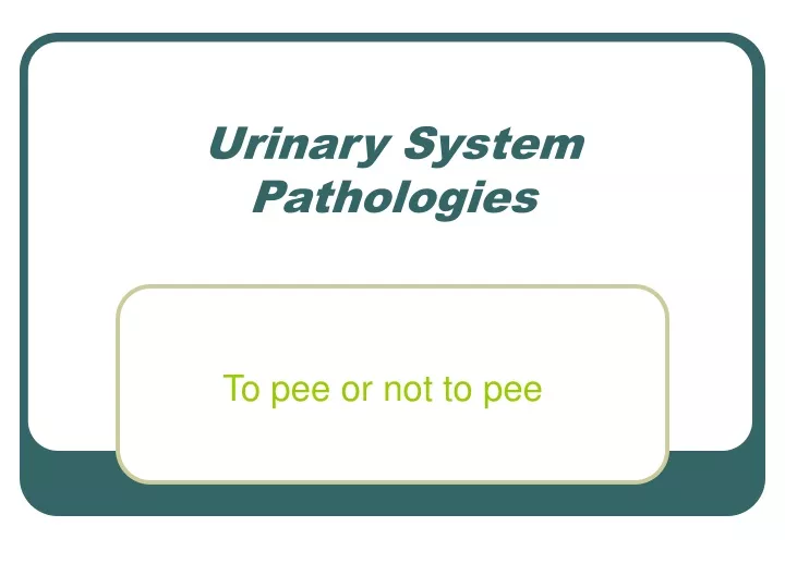urinary system pathologies
