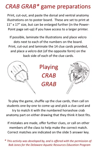 CRAB GRAB*  game preparations