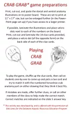 crab game tips