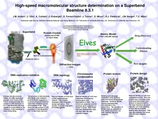 High-speed macromolecular structure determination on a Superbend Beamline 8.3.1
