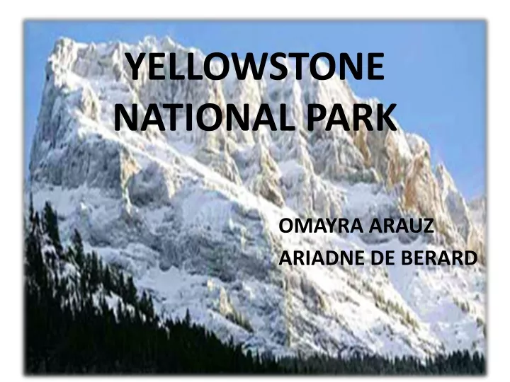 yellowstone national park omayra arauz ariadne de berard