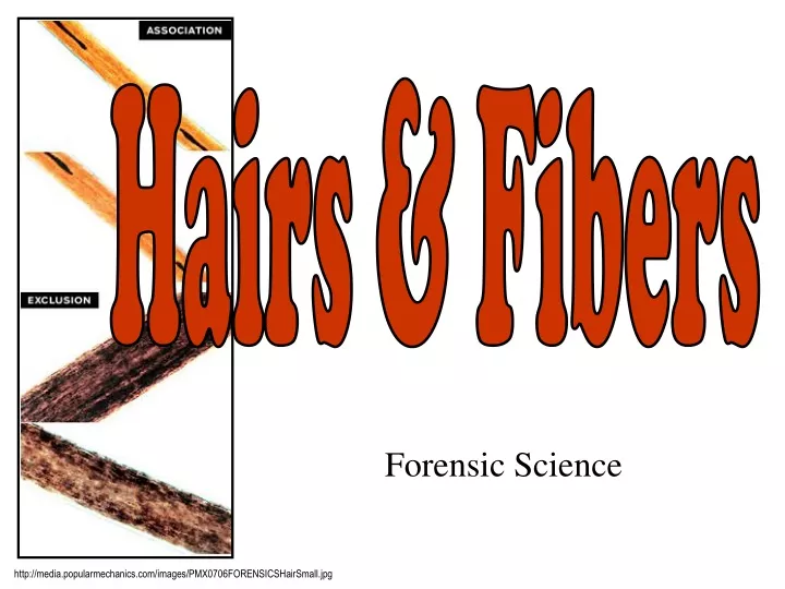 forensic science