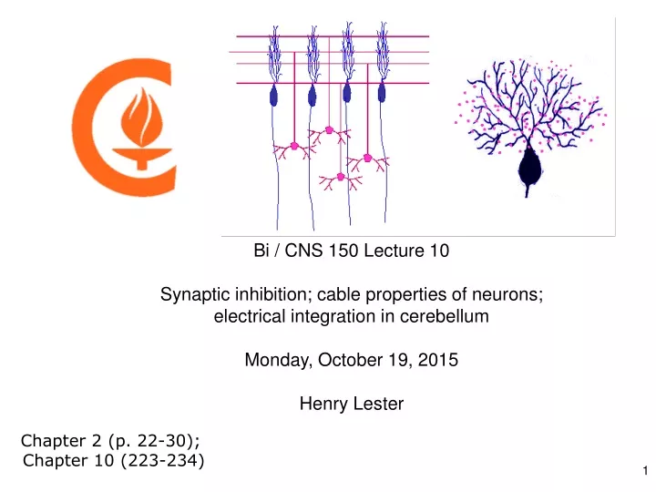 bi cns 150 lecture 10 synaptic inhibition cable