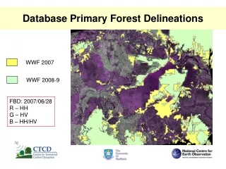Database Primary Forest Delineations