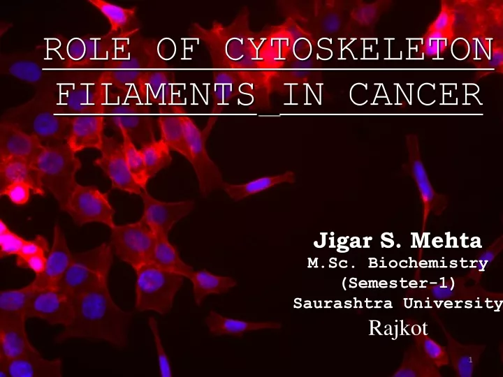 role of cytoskeleton filaments in cancer