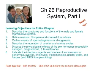 Ch 26 Reproductive System, Part I