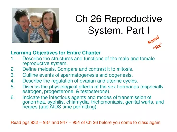 ch 26 reproductive system part i