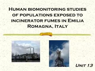 Human biomonitoring studies of populations exposed to incinerator fumes in Emilia Romagna, Italy
