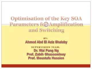 Optimisation of the Key SOA Parameters for Amplification and Switching