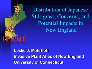 Distribution of Japanese  Stilt-grass, Concerns, and Potential Impacts in   New England