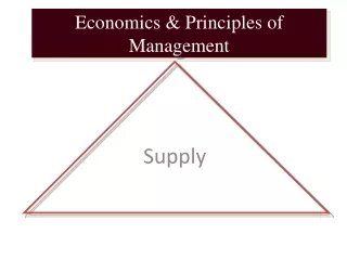 Economics &amp; Principles of Management