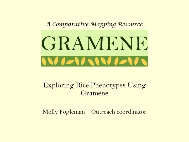 exploring rice phenotypes using gramene molly fogleman outreach coordinator