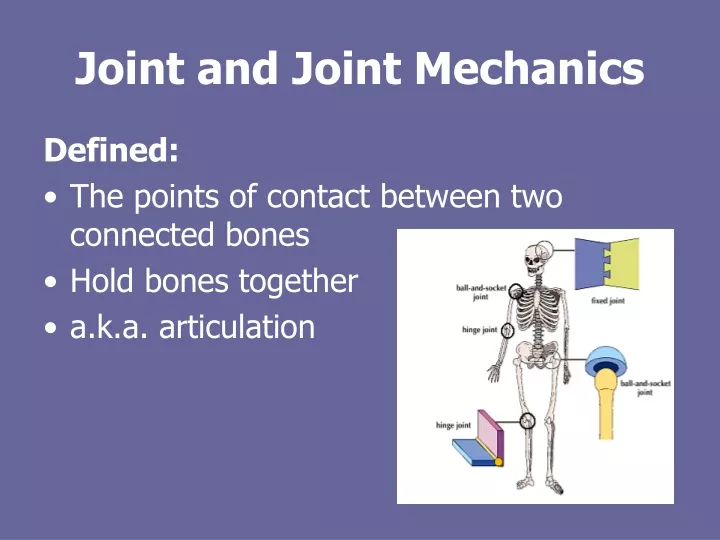 joint and joint mechanics